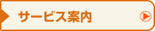 �T�[�r�X�ē�