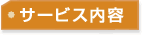 サービス内容