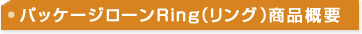 パッケージローンRing(リング)商品概要