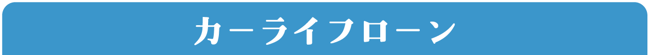 カーライフローン