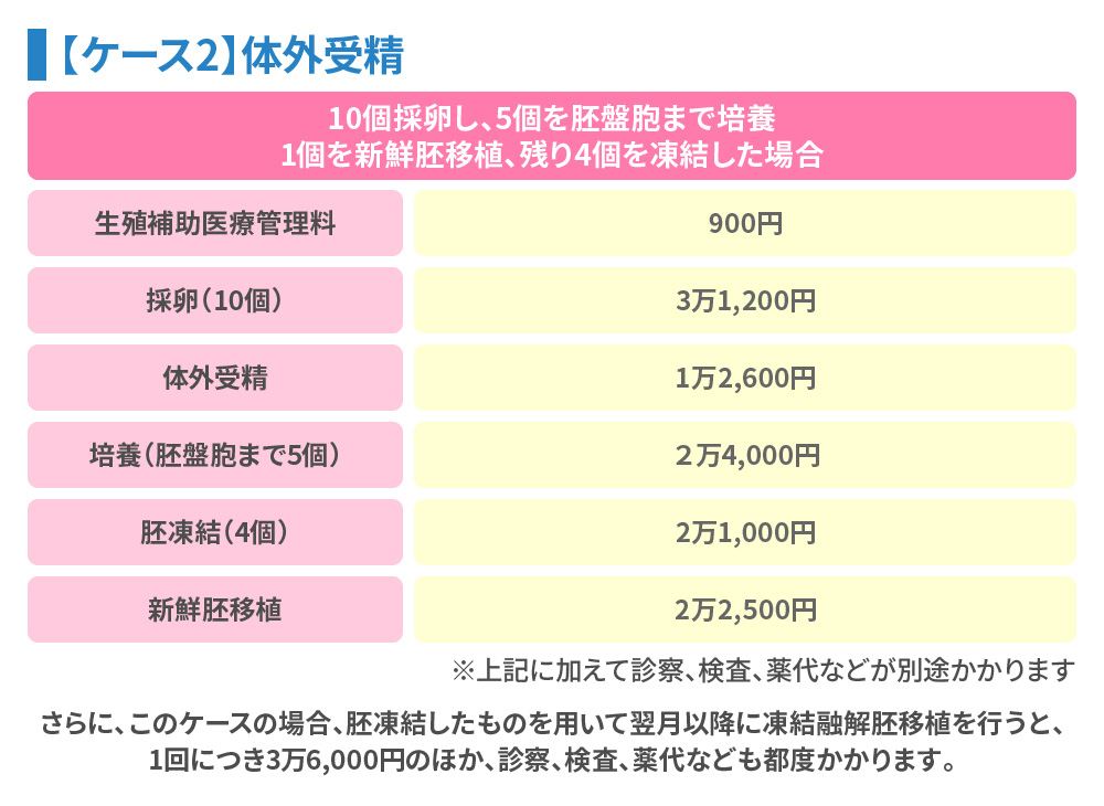 【ケース2】体外受精